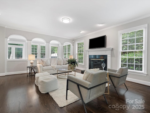 13029 Whisper Creek Dr, Charlotte, NC 28277 - living room featuring baseboards, ornamental molding, plenty of natural light, a premium fireplace, and dark wood finished floors