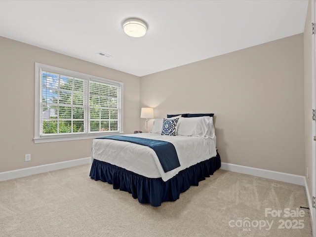 13029 Whisper Creek Dr, Charlotte, NC 28277 - bedroom featuring baseboards and carpet