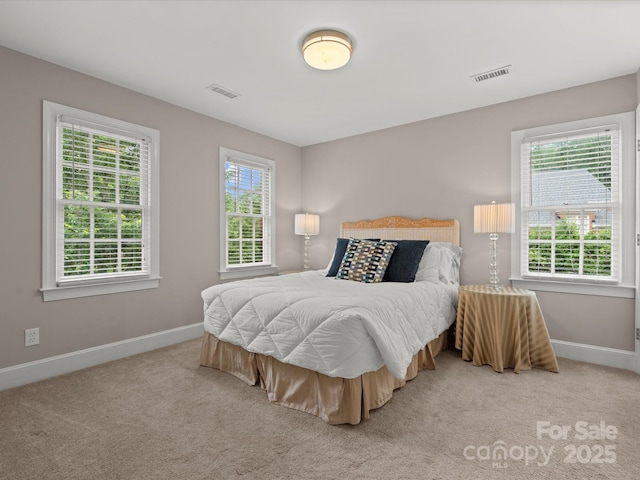 13029 Whisper Creek Dr, Charlotte, NC 28277 - bedroom with baseboards and carpet
