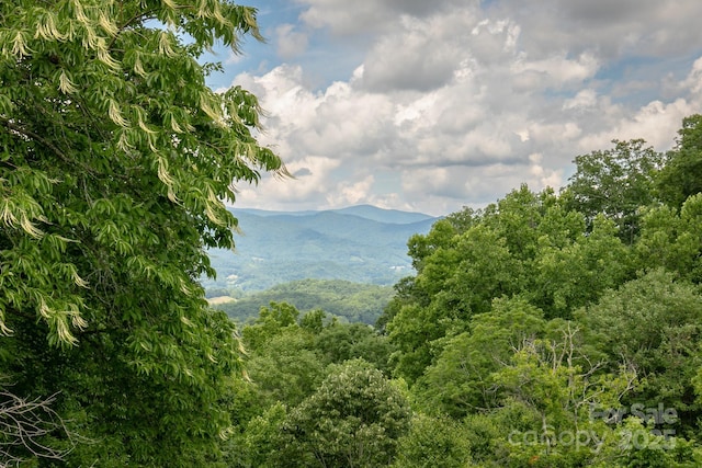 property view of mountains
