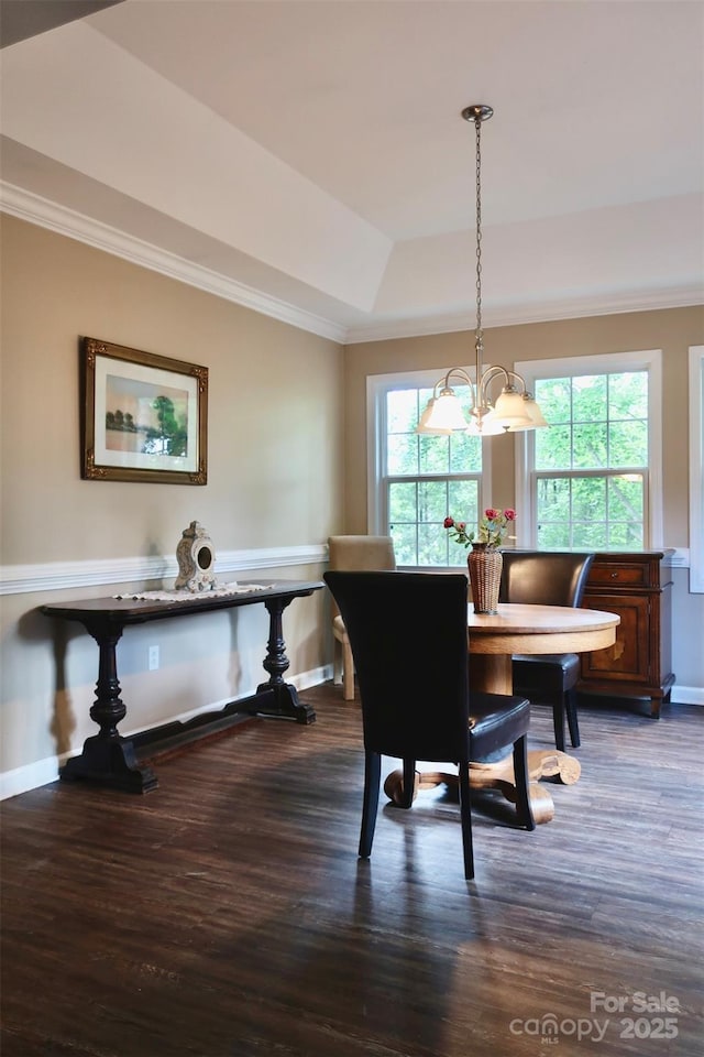 dining space with a raised ceiling, dark wood-style floors, crown molding, and plenty of natural light
