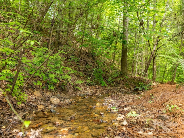 33 Village Pointe Ln, Asheville, NC 28803 - view of nature