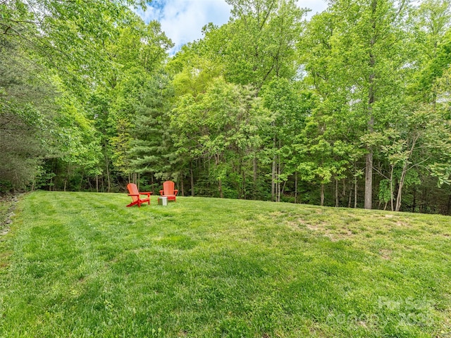 33 Village Pointe Ln, Asheville, NC 28803 - view of grassy yard with a wooded view