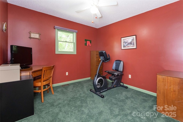 51 Mount Carmel Dr, Asheville, NC 28806 - photo 18