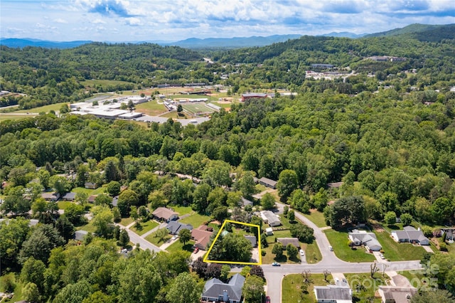 51 Mount Carmel Dr, Asheville, NC 28806 - photo 23