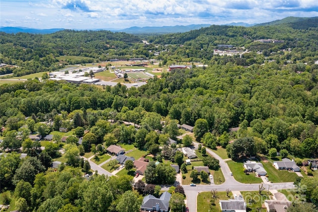 51 Mount Carmel Dr, Asheville, NC 28806 - photo 24