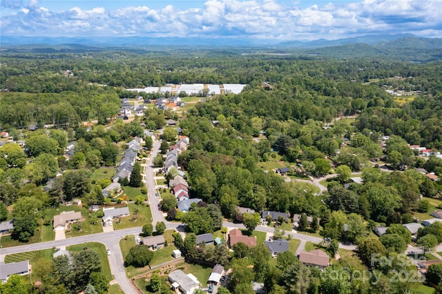 51 Mount Carmel Dr, Asheville, NC 28806 - photo 26