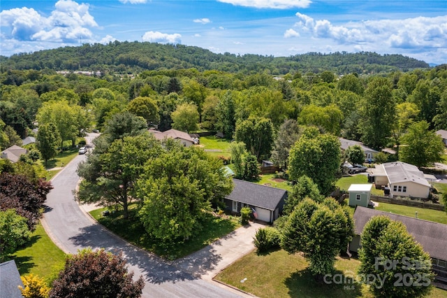 51 Mount Carmel Dr, Asheville, NC 28806 - photo 27