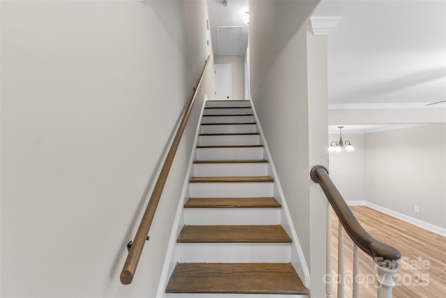 staircase with baseboards, ornamental molding, and wood finished floors