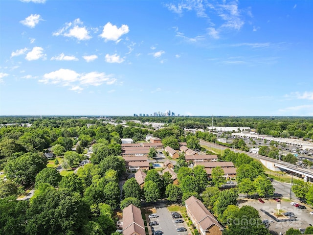bird's eye view