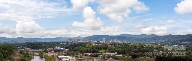 20 Grandview Dr, Asheville, NC 28806 - photo 33