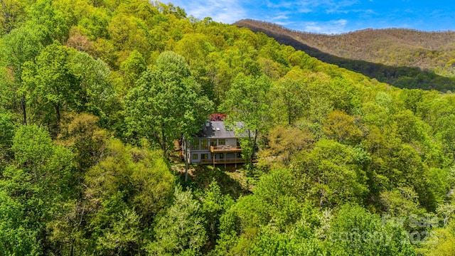 view of subject property with a forest