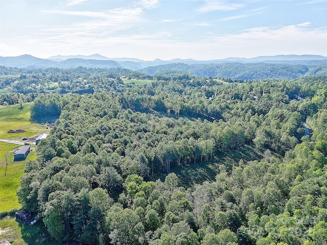 00 Howard Gap Rd, Flat Rock, NC 28731