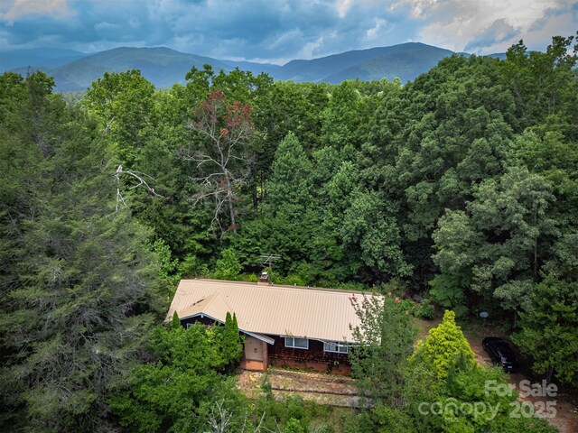 1801 Parker Padgett Rd, Old Fort, NC 28762 - photo 45