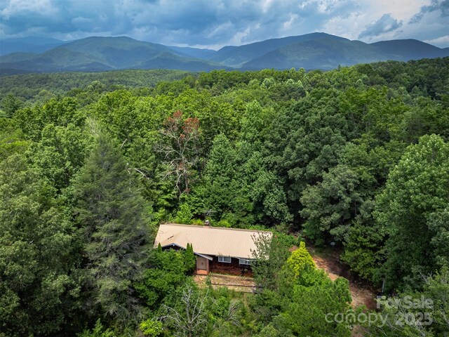 1801 Parker Padgett Rd, Old Fort, NC 28762 - photo 46