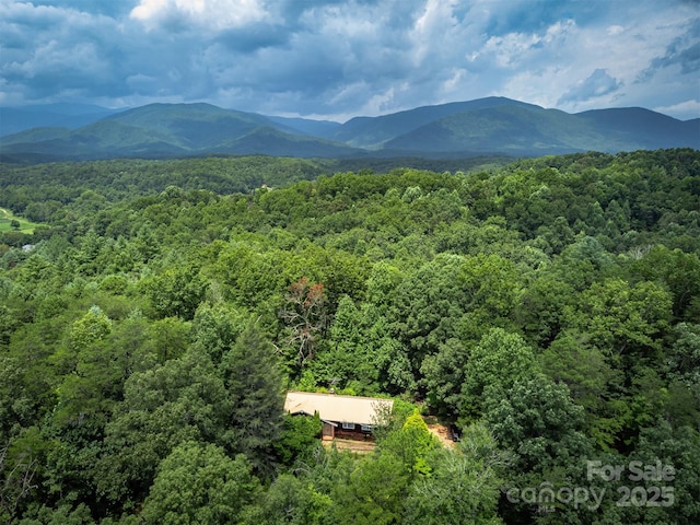 1801 Parker Padgett Rd, Old Fort, NC 28762 - photo 47