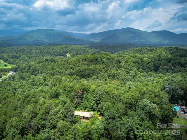 1801 Parker Padgett Rd, Old Fort, NC 28762 - photo 48