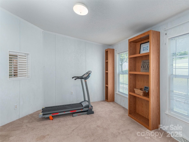9 Redmond Dr, Alexander, NC 28701 - exercise room featuring crown molding, carpet, and a healthy amount of sunlight
