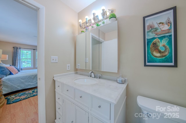 6 Chipmunk Cove Rd, Asheville, NC 28804 - bathroom with ensuite bath, wood finished floors, vanity, and toilet