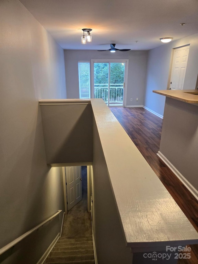 521 Donatello Ave, Charlotte, NC 28205 - stairway with wood finished floors, baseboards, and ceiling fan