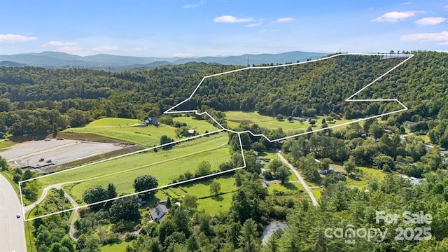 71 Happy Valley Dr, Mills River, NC 28759 - photo 4