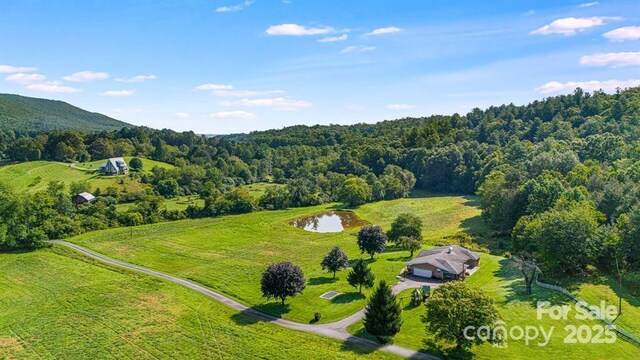 71 Happy Valley Dr, Mills River, NC 28759 - photo 18