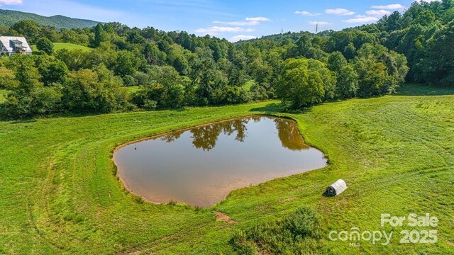 71 Happy Valley Dr, Mills River, NC 28759 - photo 20