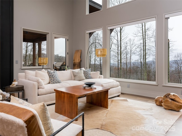 391 High Hickory Trl, Swannanoa, NC 28778 - living room with light wood finished floors and a high ceiling