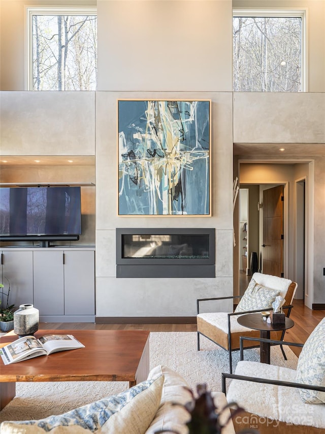 391 High Hickory Trl, Swannanoa, NC 28778 - living room featuring wood finished floors, a high ceiling, plenty of natural light, and a glass covered fireplace