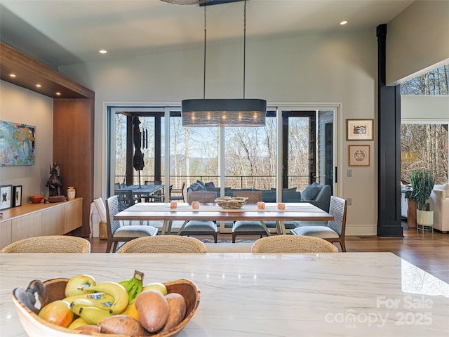 391 High Hickory Trl, Swannanoa, NC 28778 - dining room featuring wood finished floors, a towering ceiling, recessed lighting, and baseboards