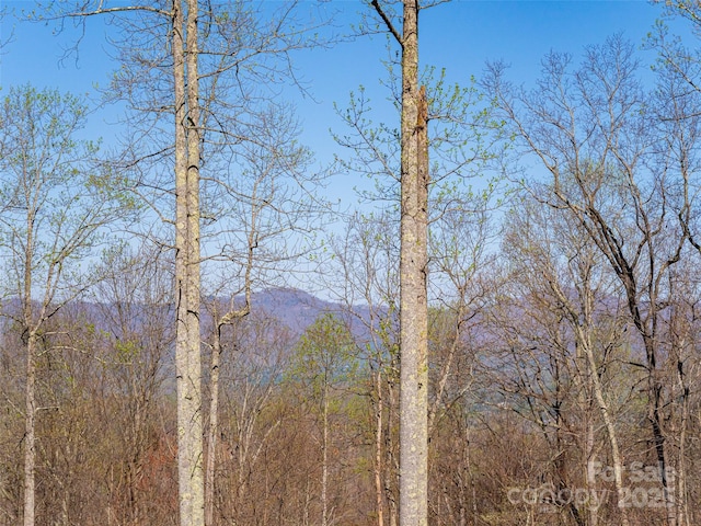 391 High Hickory Trl, Swannanoa, NC 28778 - mountain view with a heavily wooded area