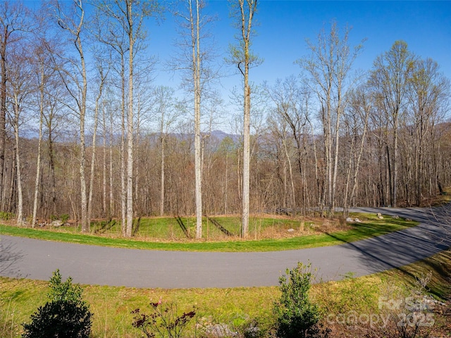 391 High Hickory Trl, Swannanoa, NC 28778 - view of road featuring a wooded view
