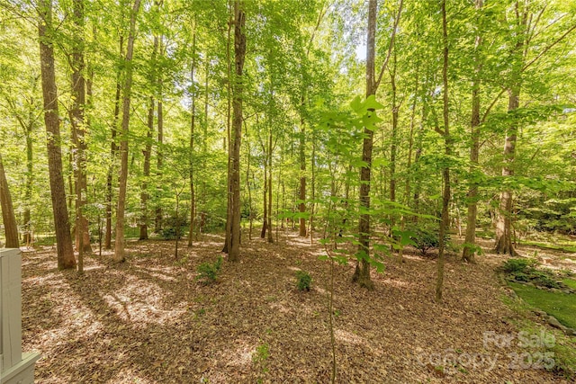 2310 Vestry Pl, Charlotte, NC 28270 - view of undeveloped land