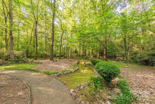 2310 Vestry Pl, Charlotte, NC 28270 - view of yard featuring a view of trees
