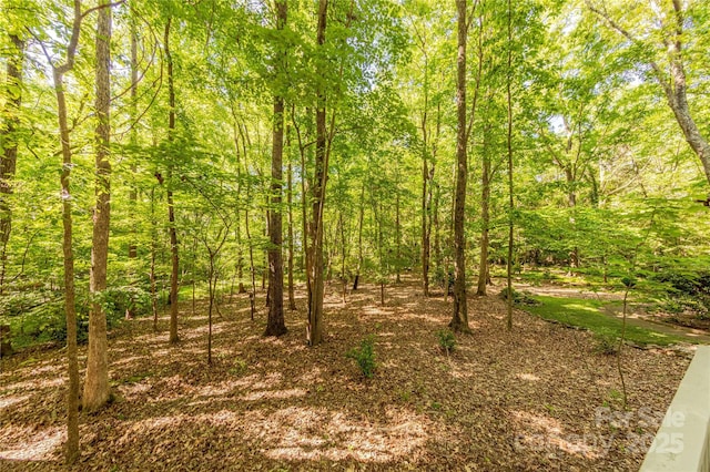 2310 Vestry Pl, Charlotte, NC 28270 - view of wooded area