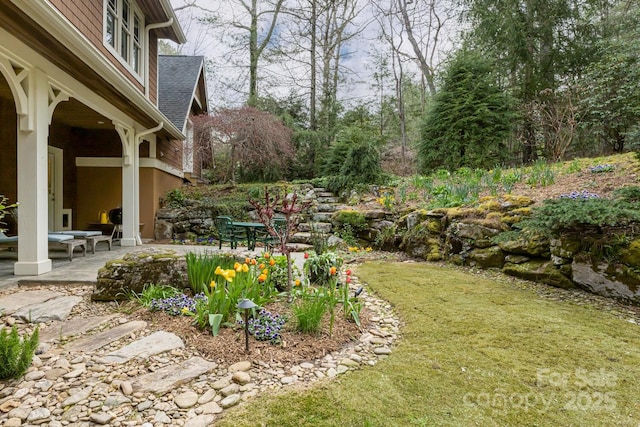 view of yard with a patio