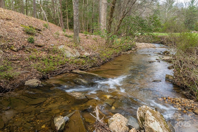view of water feature with a wooded view