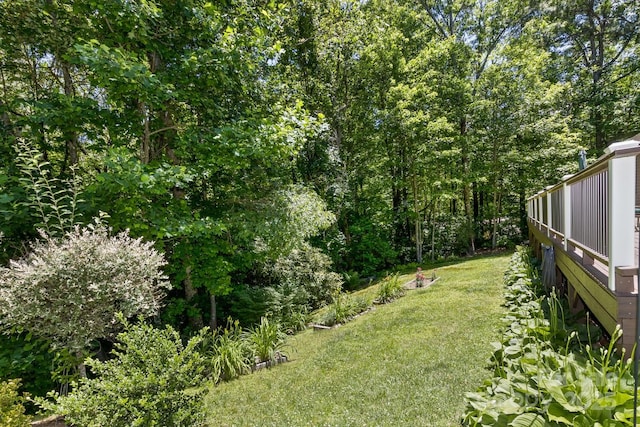 20 Howell Rd, Brevard, NC 28712 - view of green lawn