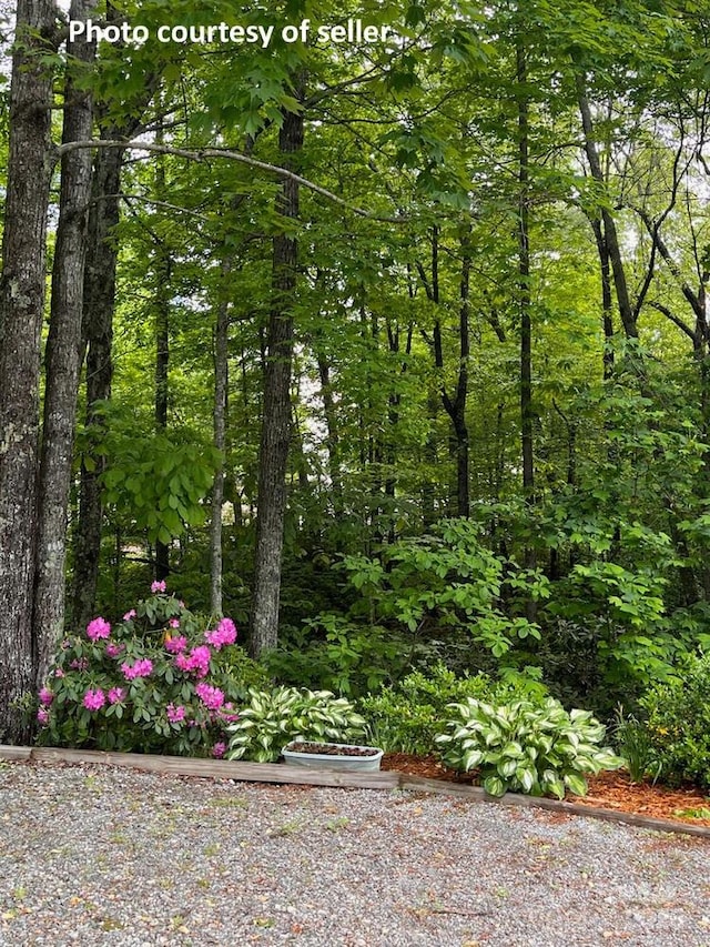 20 Howell Rd, Brevard, NC 28712 - view of yard