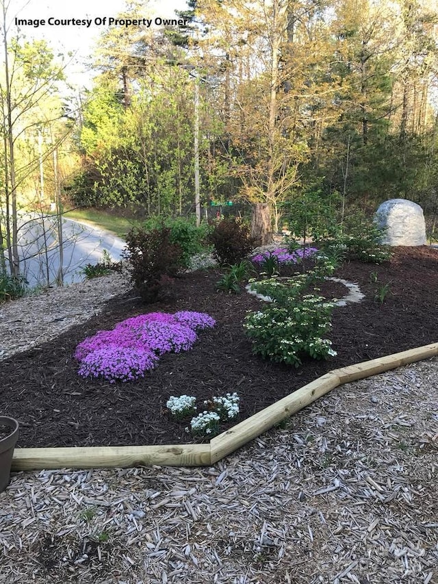 20 Howell Rd, Brevard, NC 28712 - view of yard