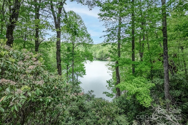 view of woods featuring a water view
