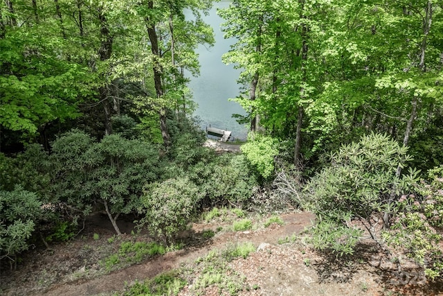 view of local wilderness featuring a nearby body of water