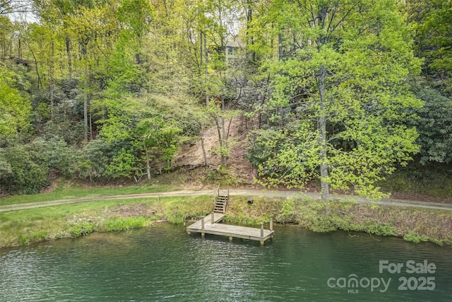 dock area featuring a water view
