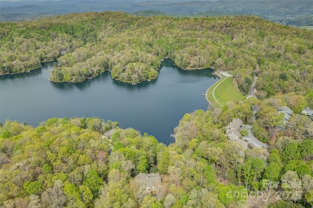 view of property location with a forest and a large body of water
