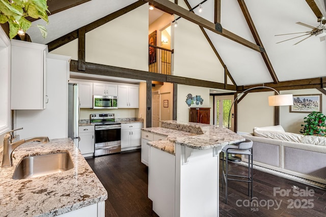 8 Quinn Ct, Asheville, NC 28805 - kitchen featuring appliances with stainless steel finishes, a sink, high vaulted ceiling, a kitchen breakfast bar, and a ceiling fan