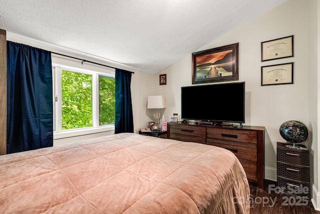 8 Quinn Ct, Asheville, NC 28805 - bedroom featuring lofted ceiling and a textured ceiling