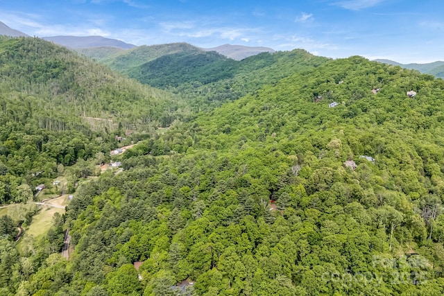 8 Quinn Ct, Asheville, NC 28805 - view of mountain background with a heavily wooded area