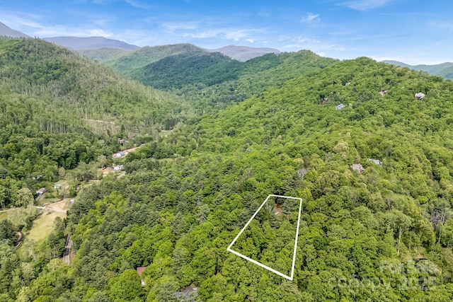 8 Quinn Ct, Asheville, NC 28805 - view of mountain background featuring a forest