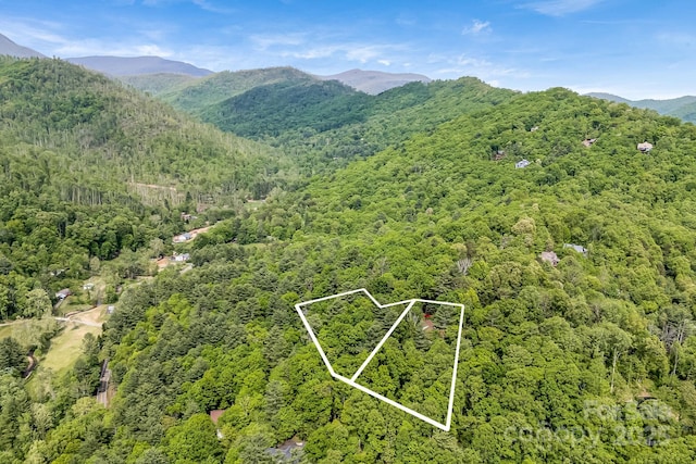 8 Quinn Ct, Asheville, NC 28805 - aerial view of property and surrounding area with a forest, property parcel outlined, and a mountain backdrop
