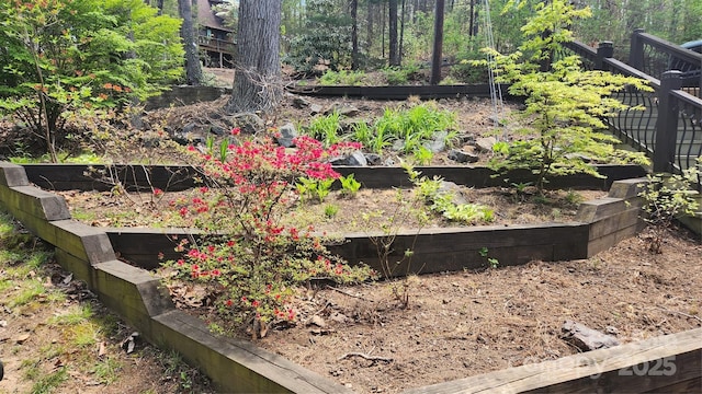 8 Quinn Ct, Asheville, NC 28805 - view of yard featuring a vegetable garden
